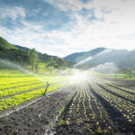 João Eustáquio De Almeida Junior explica as diferenças entre agricultura irrigada e de sequeiro, destacando vantagens e aplicações ideais para cada sistema.