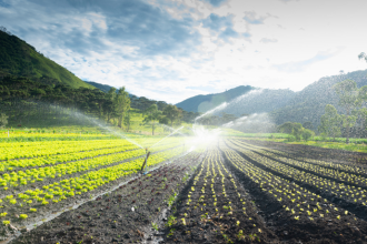 João Eustáquio De Almeida Junior explica as diferenças entre agricultura irrigada e de sequeiro, destacando vantagens e aplicações ideais para cada sistema.