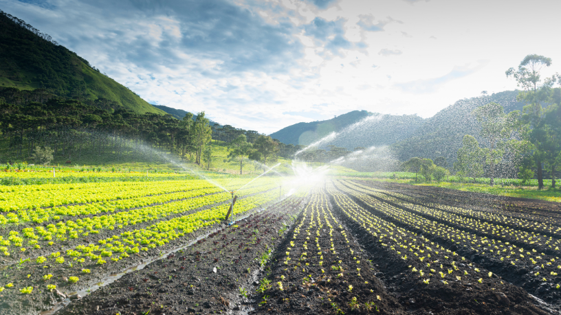 João Eustáquio De Almeida Junior explica as diferenças entre agricultura irrigada e de sequeiro, destacando vantagens e aplicações ideais para cada sistema.