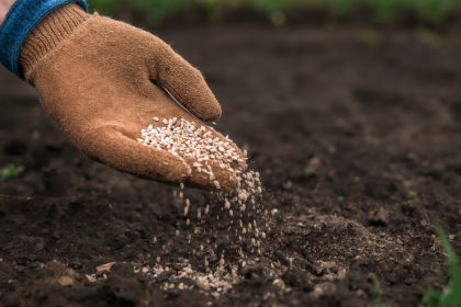 A agricultura sustentável enfrenta desafios técnicos e estratégicos para preservar o futuro do solo. Alfredo Moreira Filho destaca a importância de inovação e responsabilidade no campo.