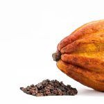 Close de uma vagem madura de cacau ao lado de amêndoas de cacau, matérias-primas usadas na produção de chocolate.