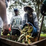 Pessoas participam de uma atividade comunitária de compostagem em um espaço de agricultura urbana.