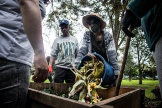 Pessoas participam de uma atividade comunitária de compostagem em um espaço de agricultura urbana.